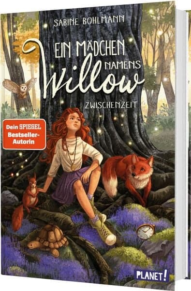 Ein Mädchen namens Willow 6: Zwischenzeit, Buchbild 1